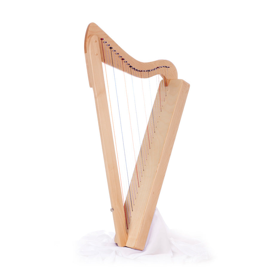 Rees harps harpsicle in maple wood