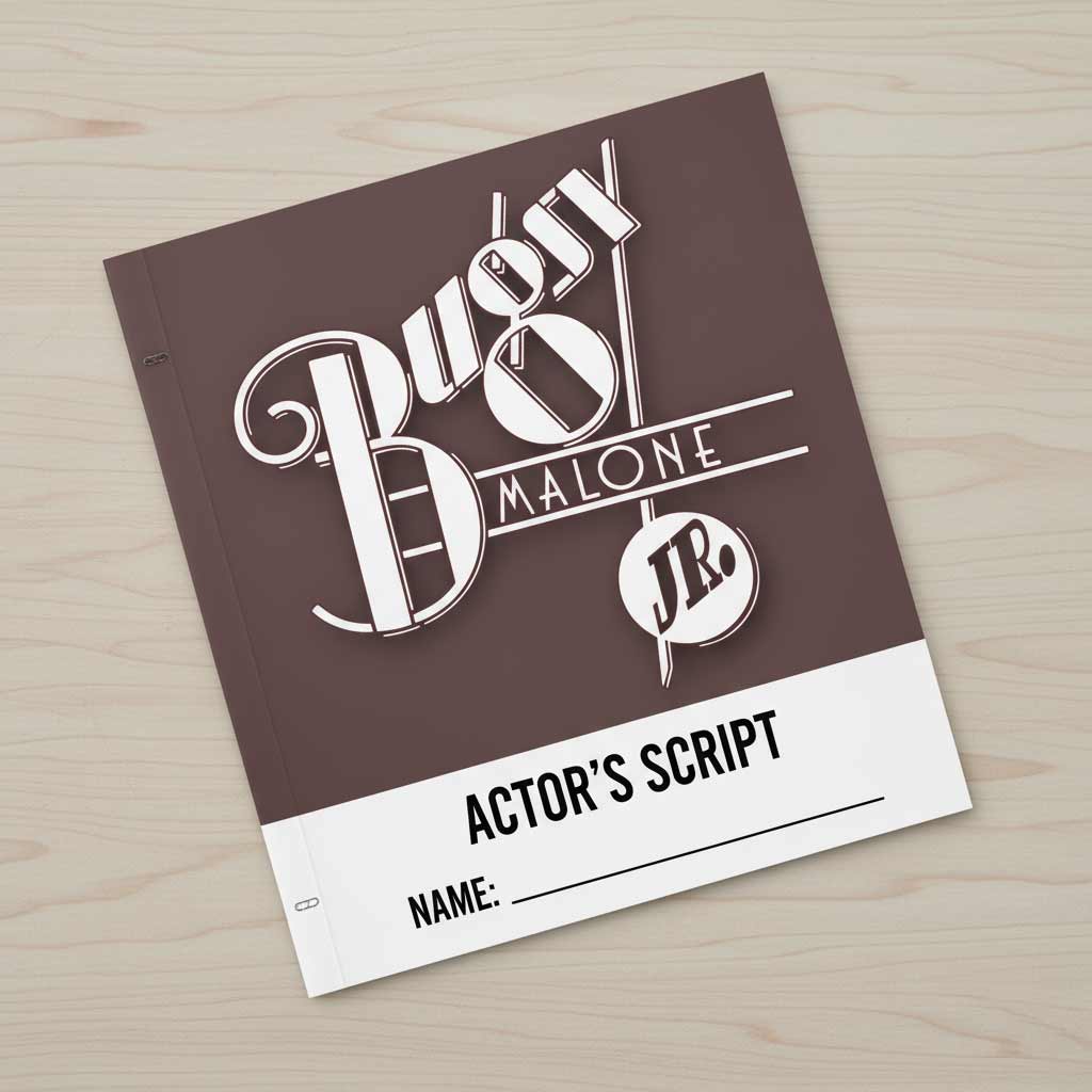 Scénario d'Aladdin Jr de Disney (pack de 10)