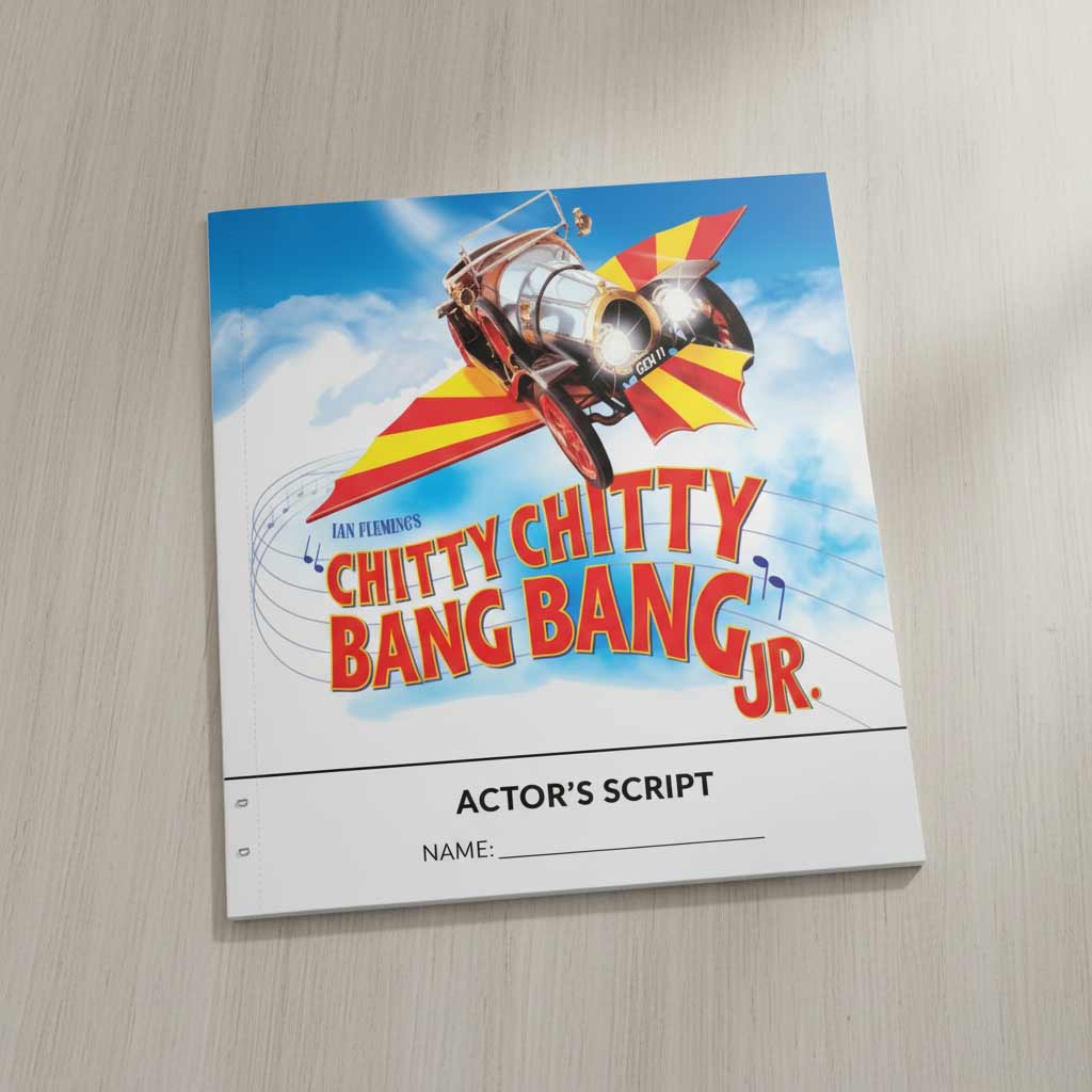 Scénario d'Aladdin Jr de Disney (pack de 10)