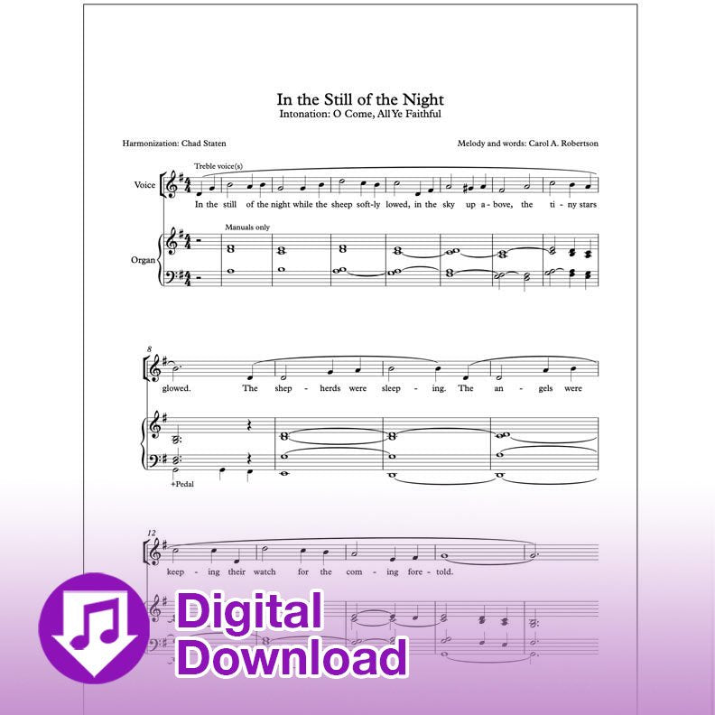 Dans le calme de la nuit