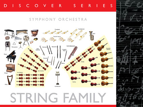 Discover the Instruments of the Orchestra (24 Posters)