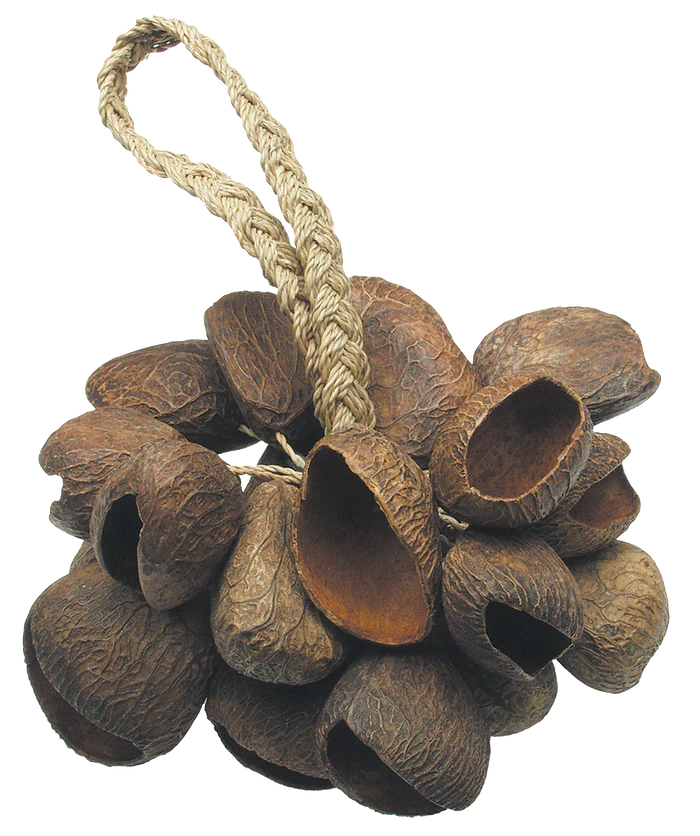 Toca Seed Shell Shaker