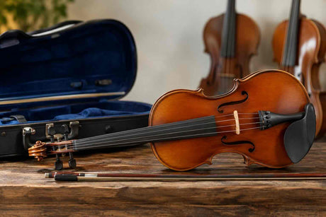 How Much Does a Violin Cost? Your Guide to Violin Prices