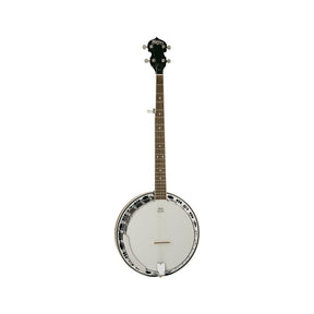 Buy banjo online for Washburn 5 string banjo