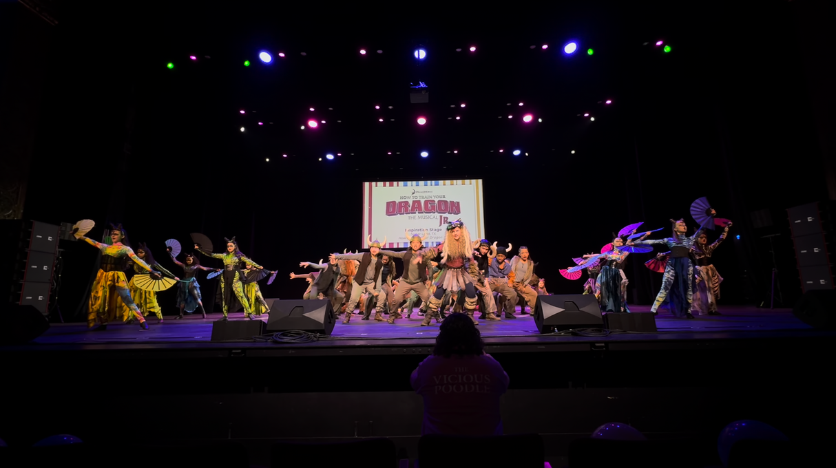 How to Train Your Dragon Jr dragon costumes school production