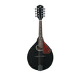 j reynolds mandolin for beginners folk instrument