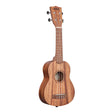 Wooden ukulele on a white background kala teak soprano uke