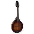 Loar mandolin folk instrument for sale
