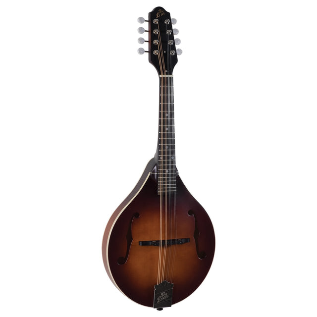 Loar mandolin folk instrument for sale