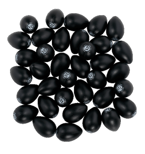 lp001bk egg shaker instrument for professional and classroom