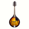 Savannah mandolin folk instrument for sale