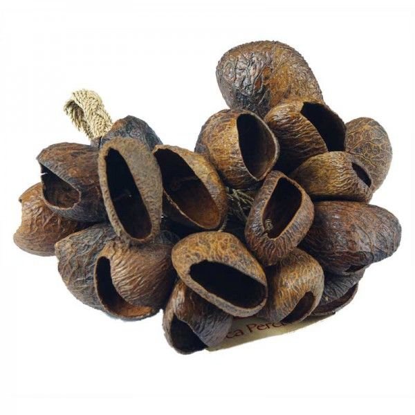 Toca Seed Shell Shaker Rope Handle